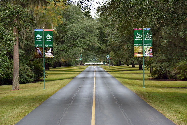 Entering Brookgreen Gardens in Murrell's Inlet, SC