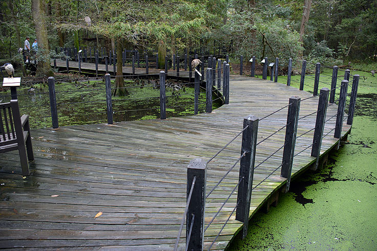 Brookgreen Gardens in Murrell's Inlet, SC