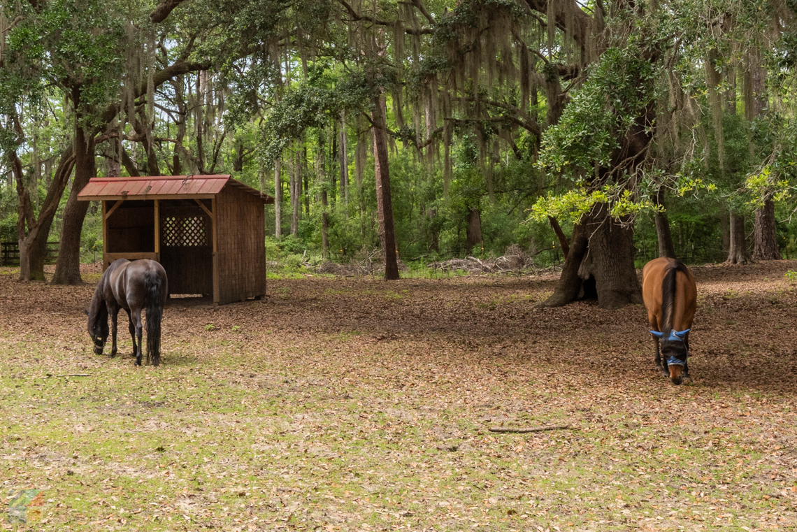 Brookgreen Gardens