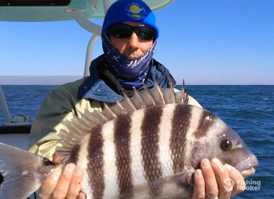 All Hooked Up Fishing Charters LLC charter image 4