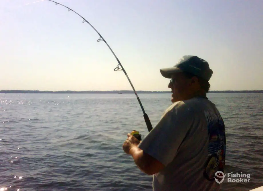 All Hooked Up Fishing Charters LLC charter image 5