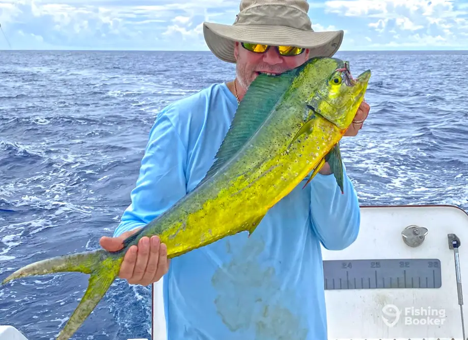 Next Lvl Sportfishing – Nearshore/Offshore charter image 6