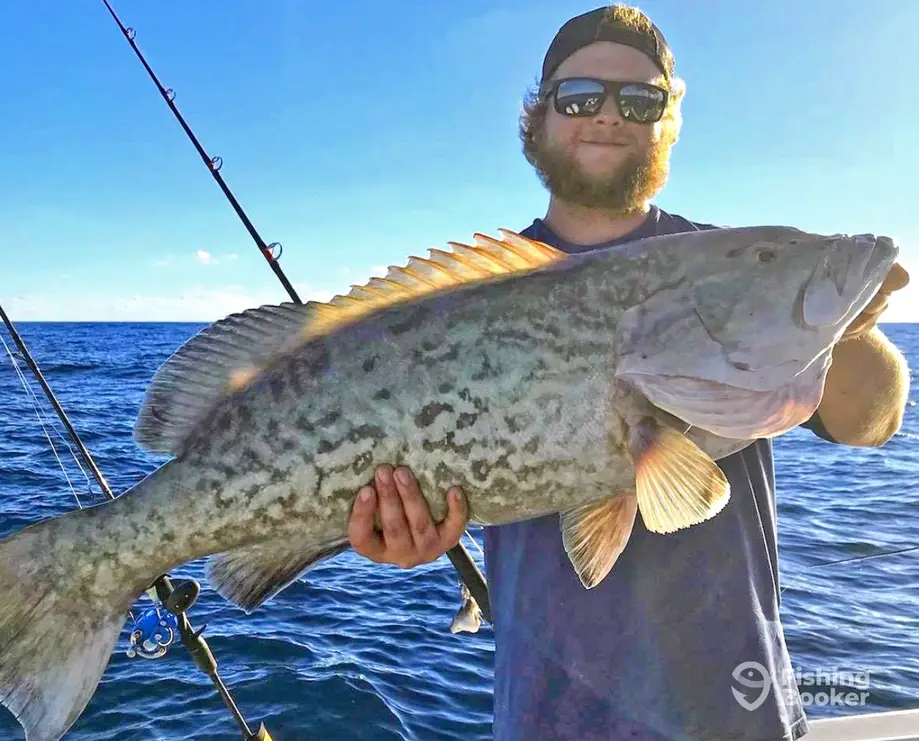 The Reel Myrtle Beach Fishing Charters - 32'