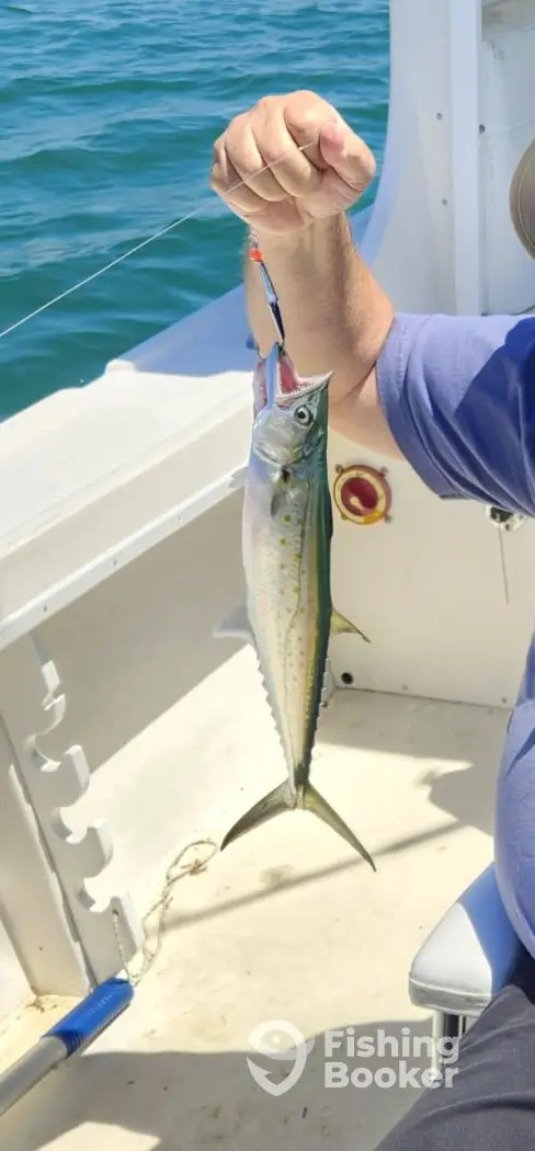 Fishing Myrtle Beach charter image 5