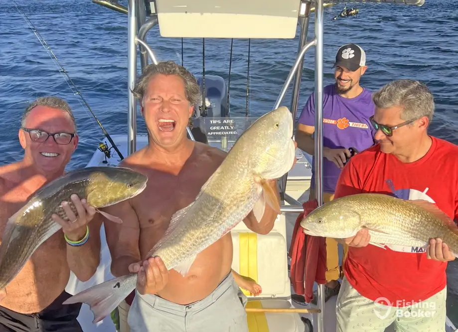 NMB Charters charter image 4