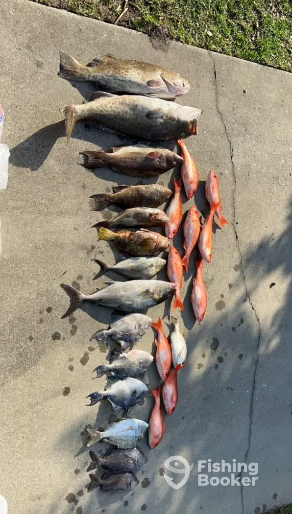 Reel Life Fishing Charters charter image 3