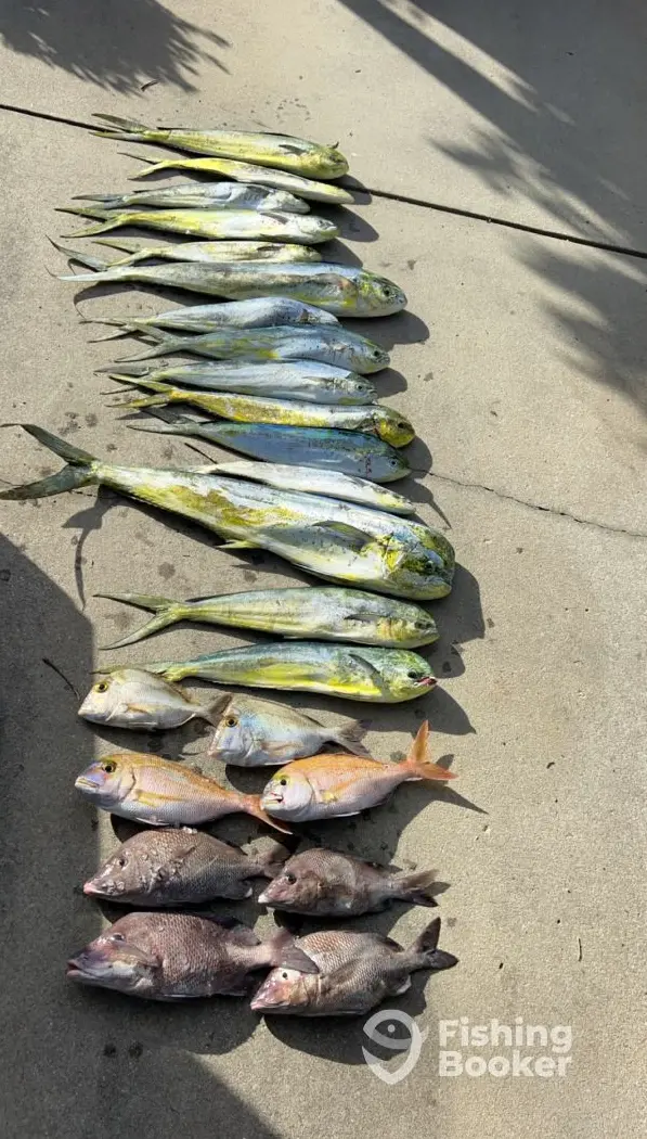 Reel Life Fishing Charters charter image 4