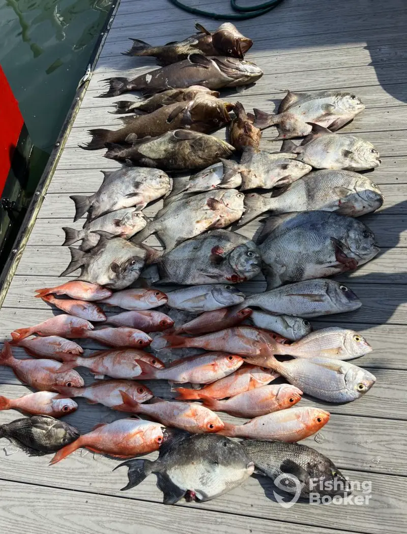 Side Kick Charters charter image 2