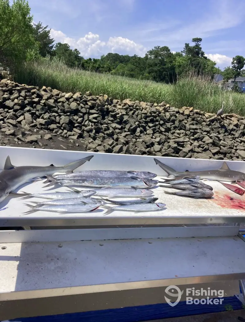 Fisher of Men Inshore Charters charter image 6