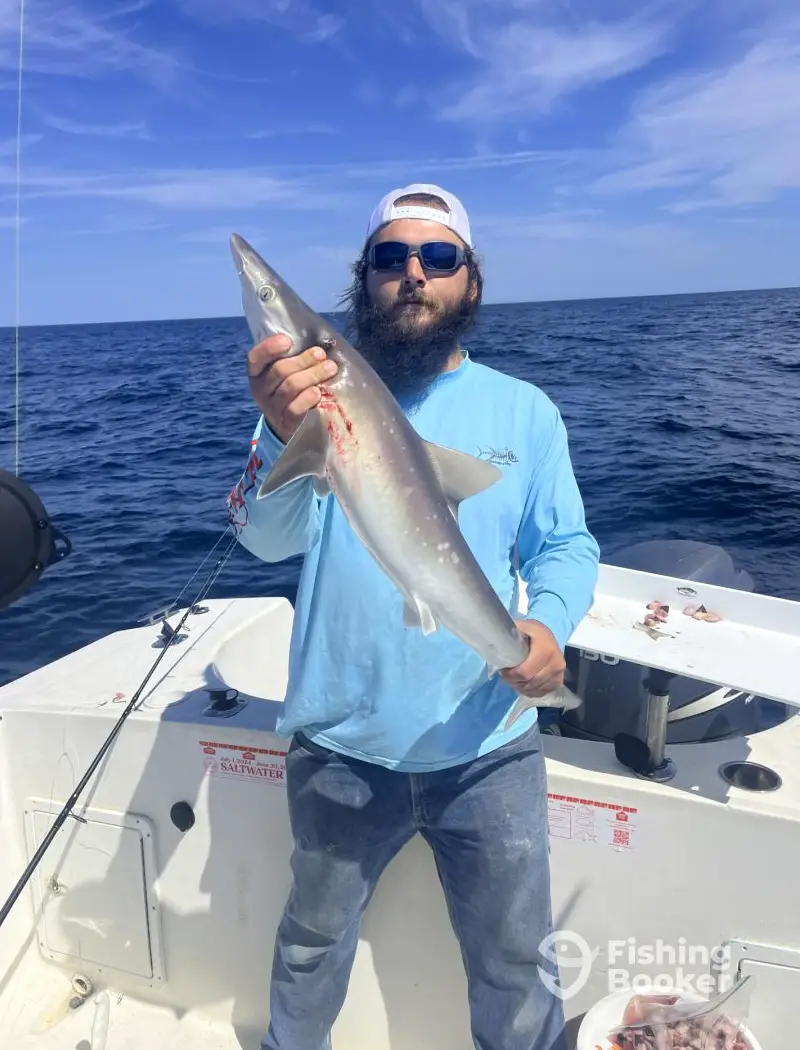 Reel Reaper Fishing Charter – Murrells Inlet