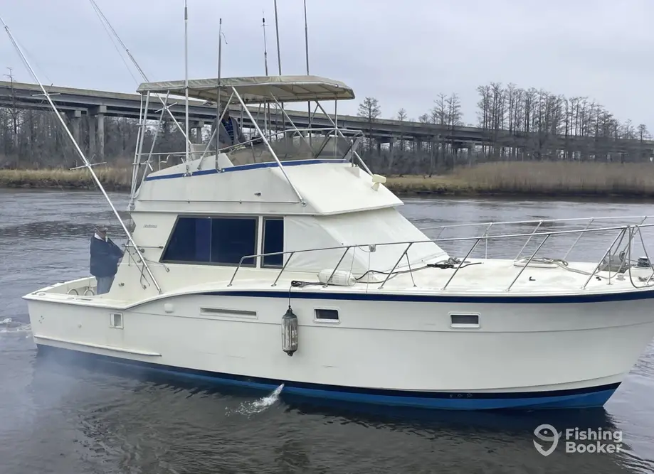 Reel Obsession charter image 6