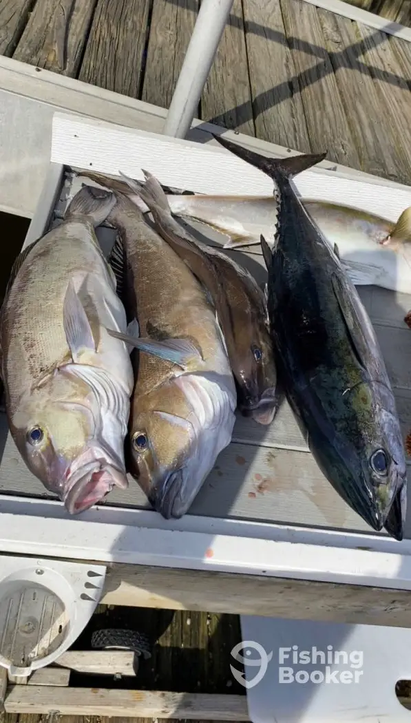 Nauti Buoy Charters – Nauti Girl charter image 3