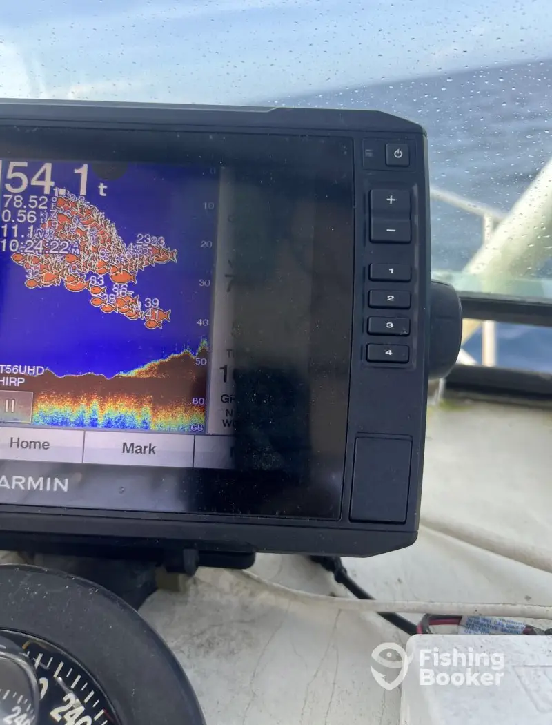 No Problem Sportfishing charter image 2