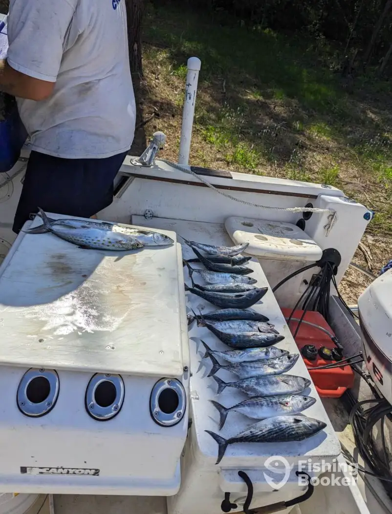 No Problem Sportfishing charter image 4