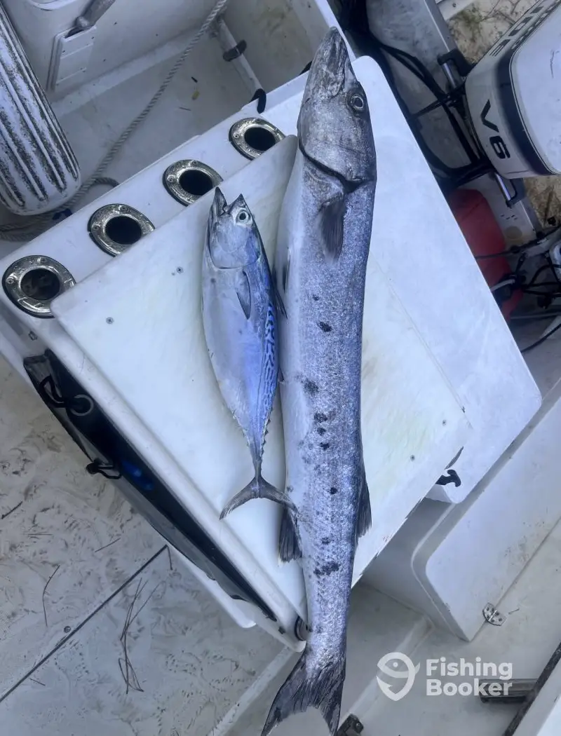 No Problem Sportfishing charter image 6