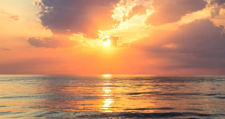 Sunset Cruise: Tide Chaser