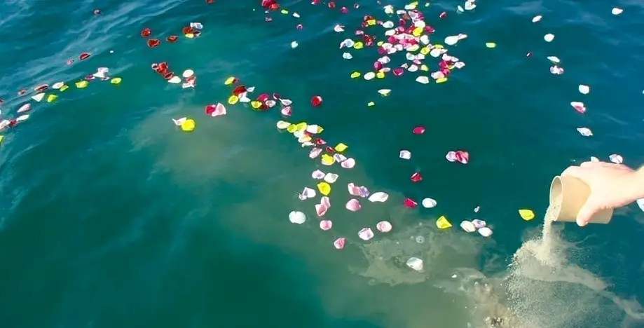 Burial at Sea (Freedom)