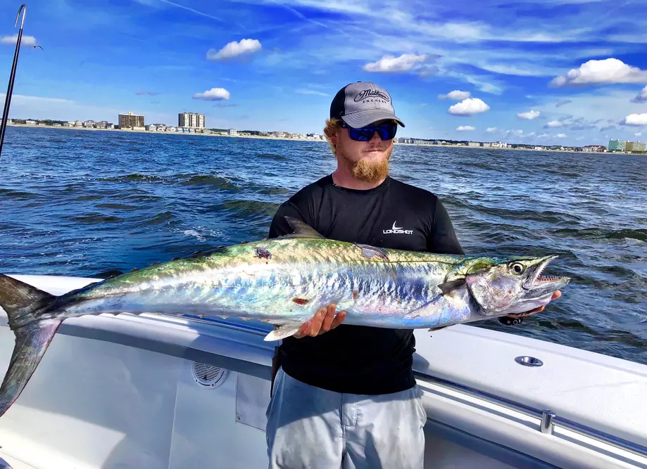 Full Day Charter