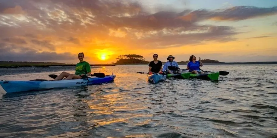 Scenic Salt Marsh Sunrise Tour