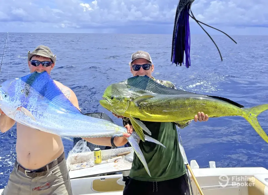 Offshore Fishing Charters