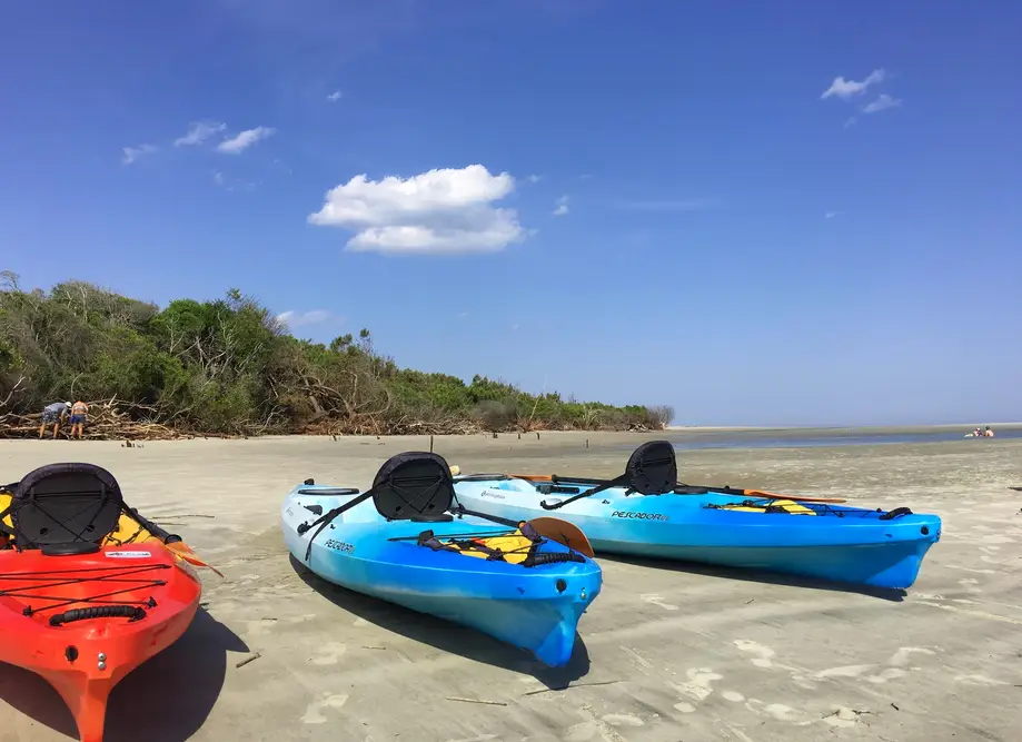 Waties Island Kayak Tour