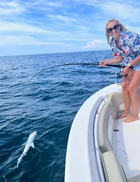 3HR SHARK TRIP - MORNING