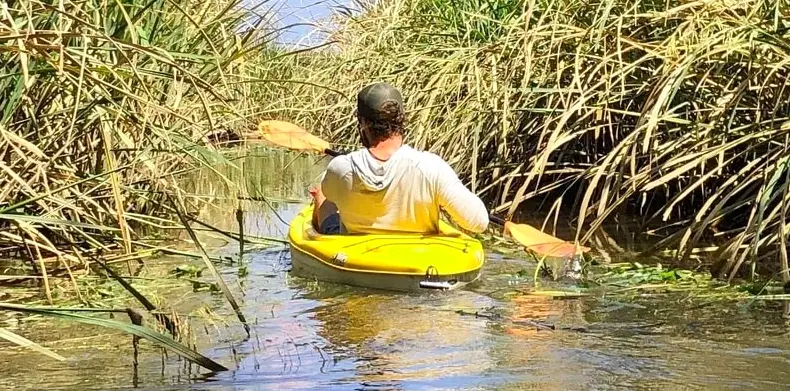 Waccamaw River • River Natural History