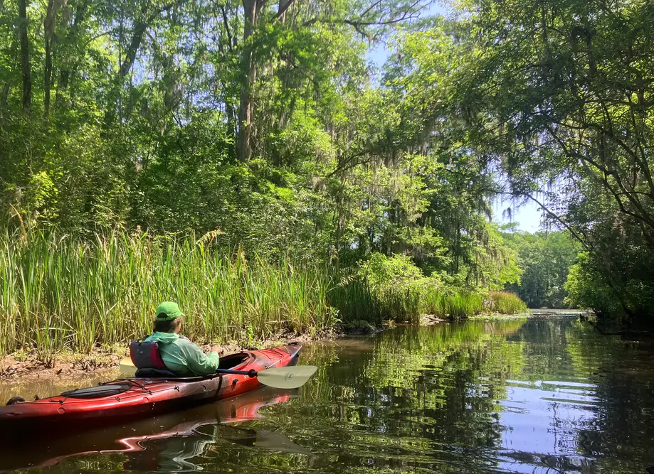 Waccamaw River • Sandy Island Paddle + Hike