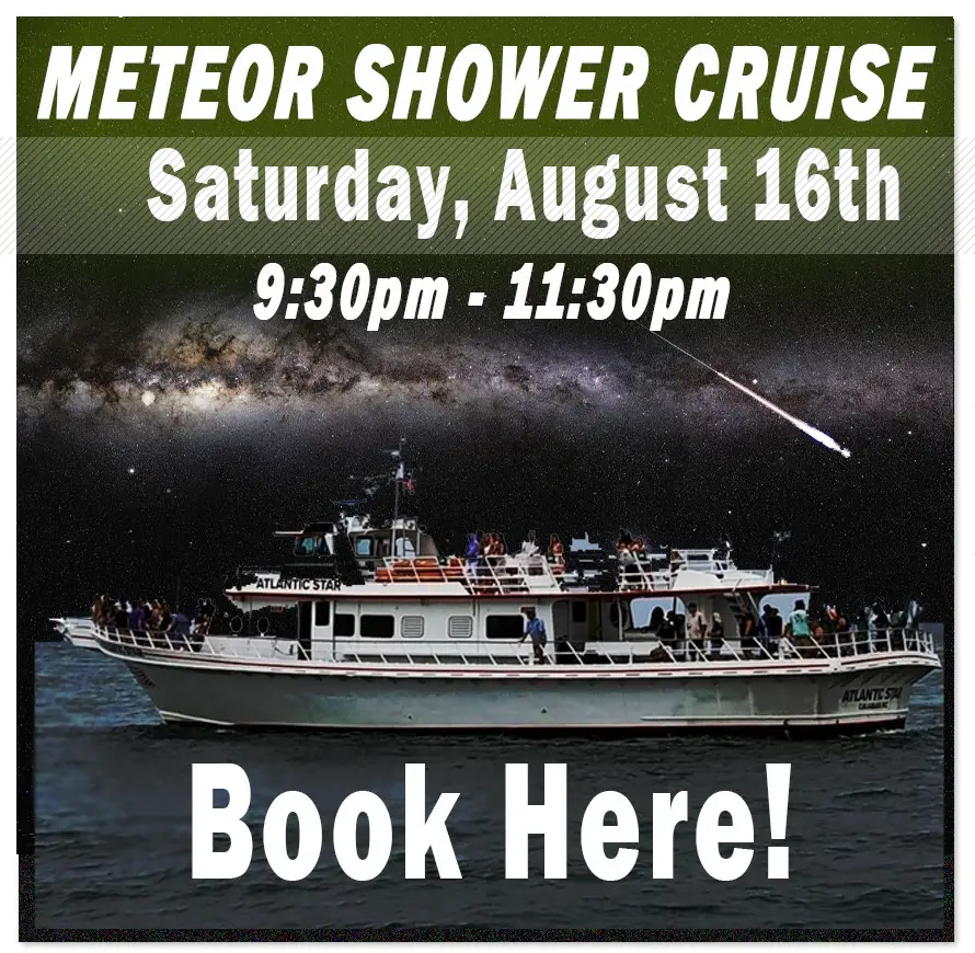 Meteor Shower Cruise