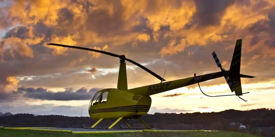 Fly The Swamp Rabbit