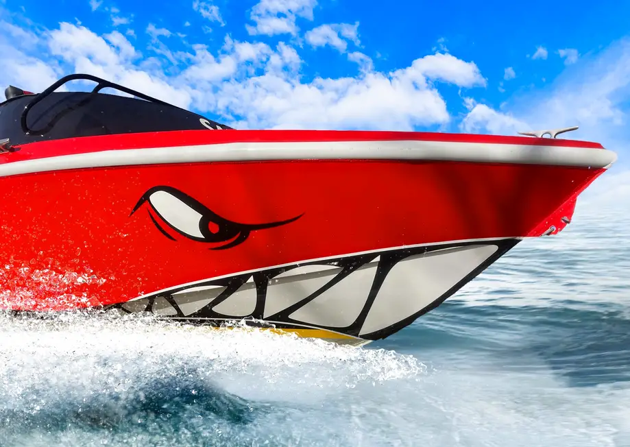 Jet Boat Dolphin Cruise