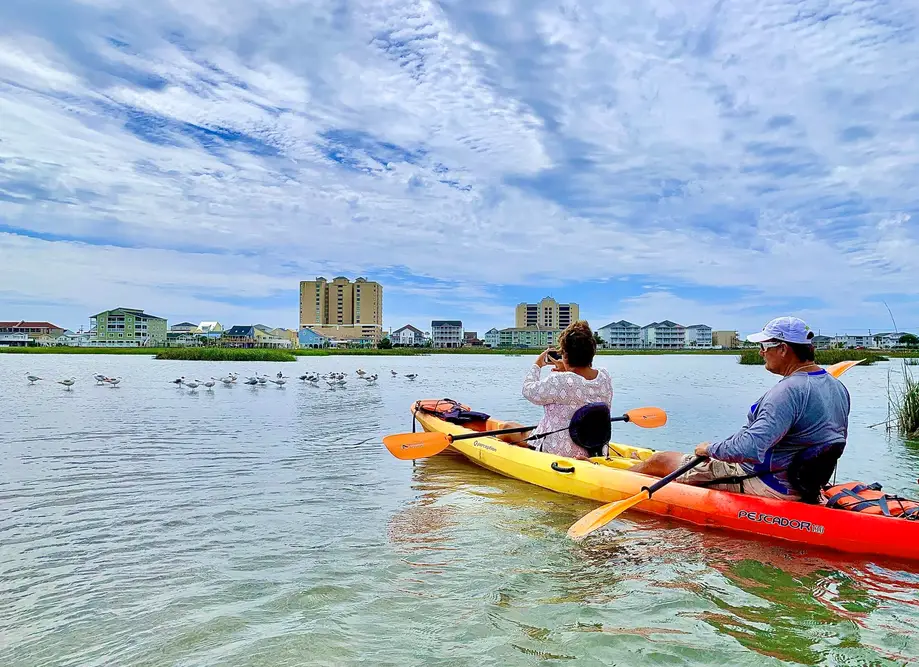 Backwater Scenic Kayak Tour