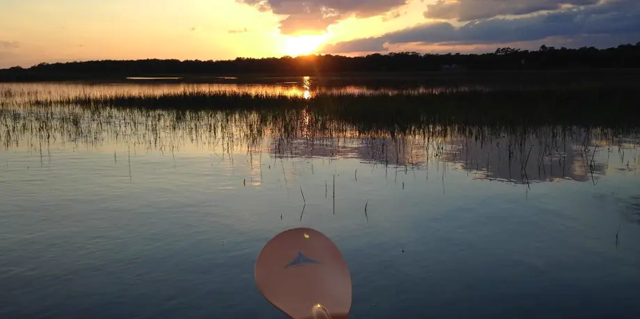 Scenic Marsh Sunrise Tour