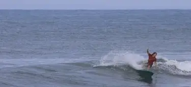 7'3 Surfboard Rental