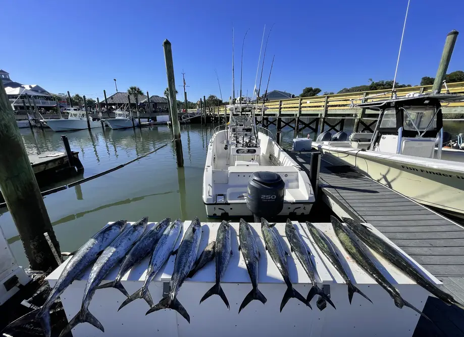 'Little Silver Tuna' 6 Hour Nearshore Combo