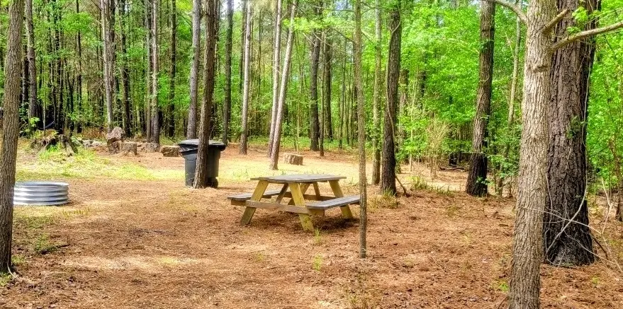 Wooded Campsite #3